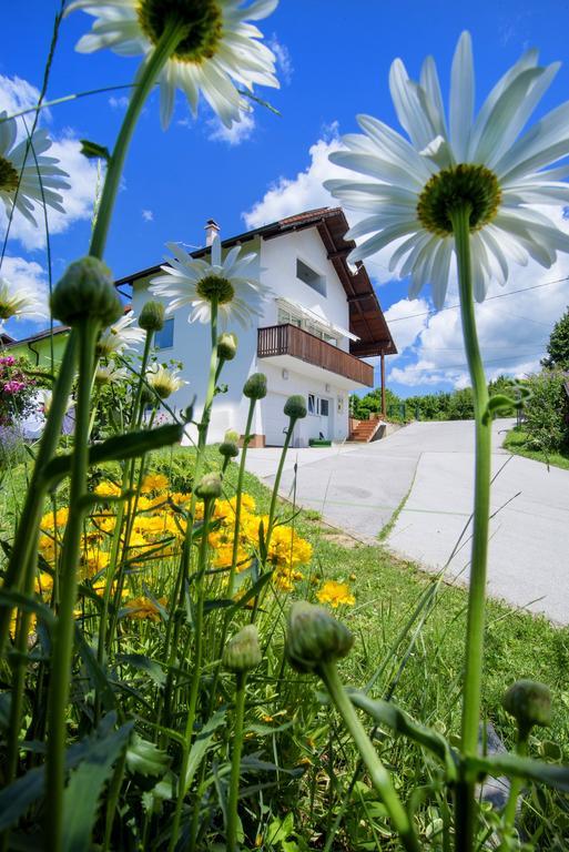 Apartment Bastaja Слуни Екстериор снимка